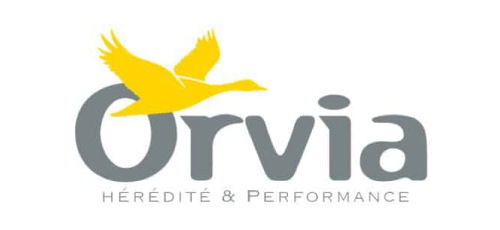 Orvia